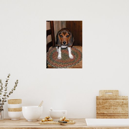 Beagle Puppy Poster (Keuken)