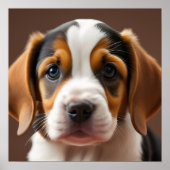 Beagle Puppy Poster (Voorkant)