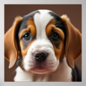 Beagle Puppy Poster (Voorkant)