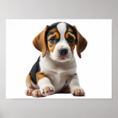 Beagle Puppy Poster (Voorkant)