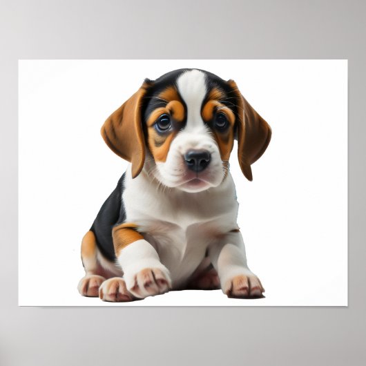 Beagle Puppy Poster (Voorkant)