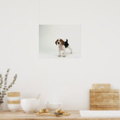 Beagle puppy poster (Keuken)
