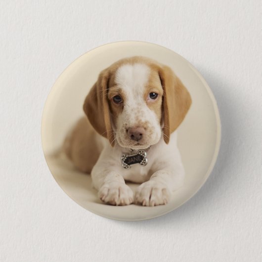 Beagle Puppy Ronde Button 5,7 Cm (Voorkant)