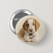 Beagle Puppy Ronde Button 5,7 Cm (Voorkant /achterkant)