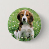 Beagle Puppy Ronde Button 5,7 Cm (Voorkant)