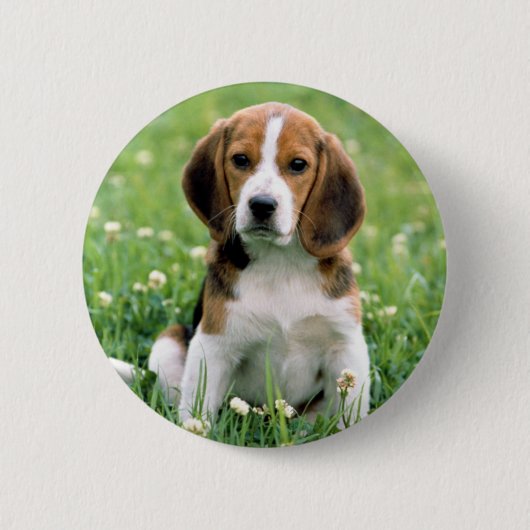 Beagle Puppy Ronde Button 5,7 Cm (Voorkant)