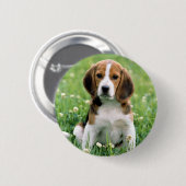 Beagle Puppy Ronde Button 5,7 Cm (Voorkant /achterkant)