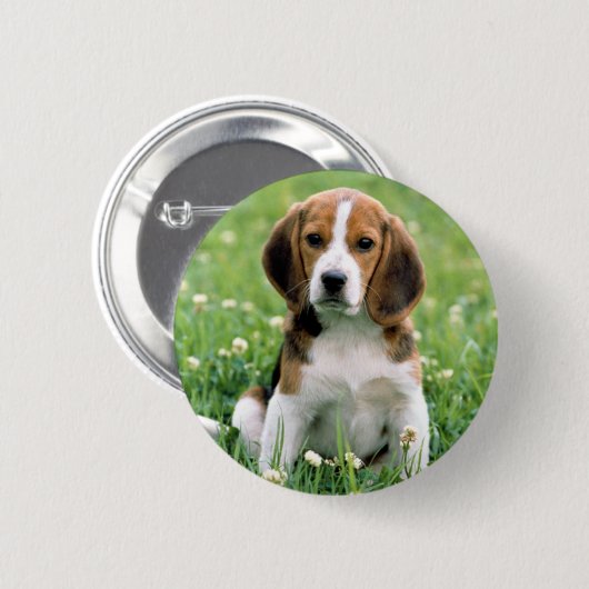 Beagle Puppy Ronde Button 5,7 Cm (Voorkant /achterkant)
