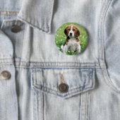 Beagle Puppy Ronde Button 5,7 Cm (In situ)