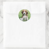 Beagle Puppy Ronde Sticker (Tas)