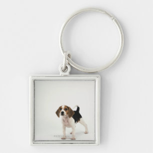 Beagle puppy sleutelhanger