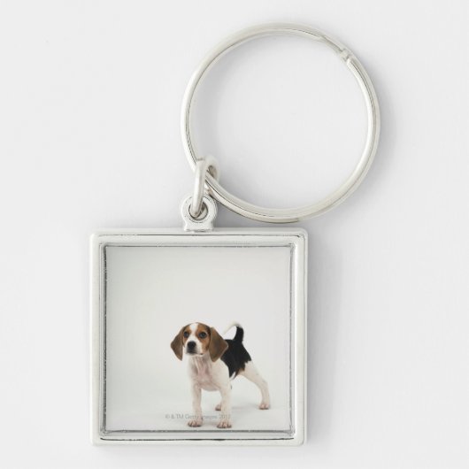 Beagle puppy sleutelhanger (Voorkant)