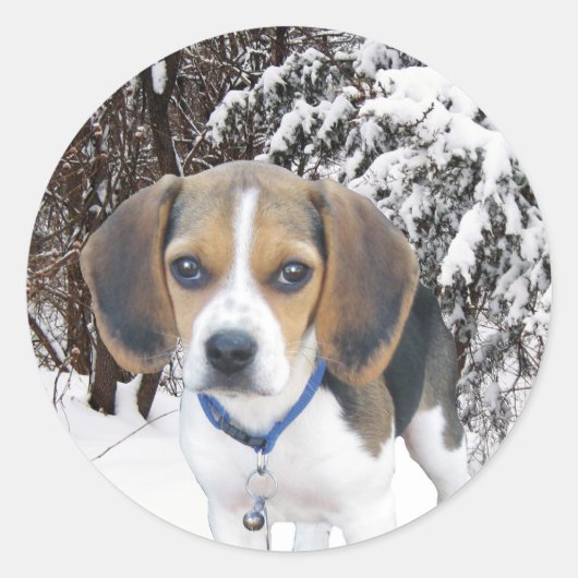 Beagle Puppy Snowy Bossen Stickers (Voorkant)