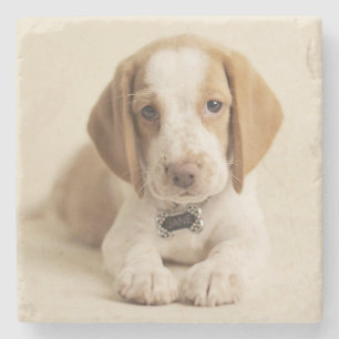 Beagle Puppy Stenen Onderzetter