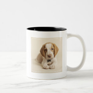 Beagle Puppy Tweekleurige Koffiemok