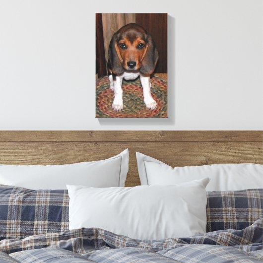 Beagle Puppy Verpakt Canvas (Insitu (Slaapkamer))