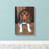 Beagle Puppy Verpakt Canvas (Insitu (Houten vloer))