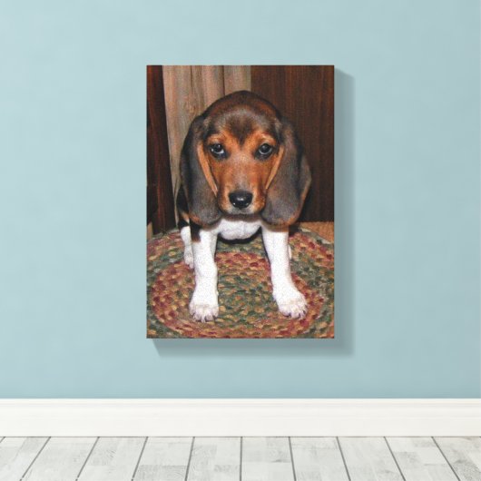 Beagle Puppy Verpakt Canvas (Insitu (Houten vloer))