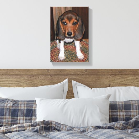 Beagle Puppy Verpakt Canvas (Insitu (Slaapkamer))