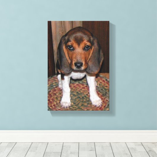 Beagle Puppy Verpakt Canvas (Insitu (Houten vloer))