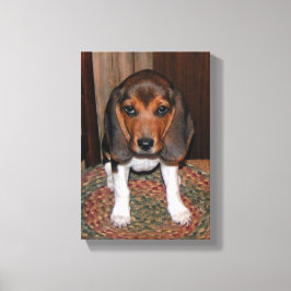 Beagle Puppy Verpakt Canvas Afdruk