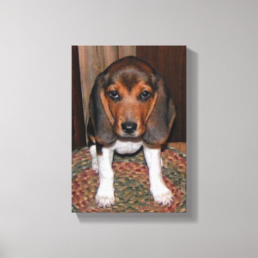 Beagle Puppy Verpakt Canvas Afdruk (Voorkant)