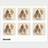 Beagle Puppy Vierkante Sticker (Vel)