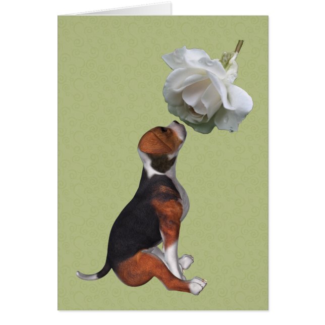 Beagle Puppy White Rose Animal Card (Voorkant)