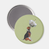 Beagle Puppy White Rose Animal Magnet (Voorkant / Achterkant)