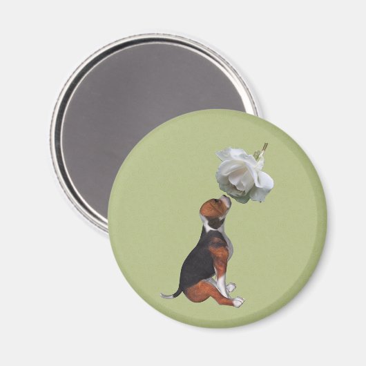 Beagle Puppy White Rose Animal Magnet (Voorkant / Achterkant)