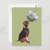 Beagle Puppy White Rose Cute Dog Briefkaart (Voorkant / Achterkant)