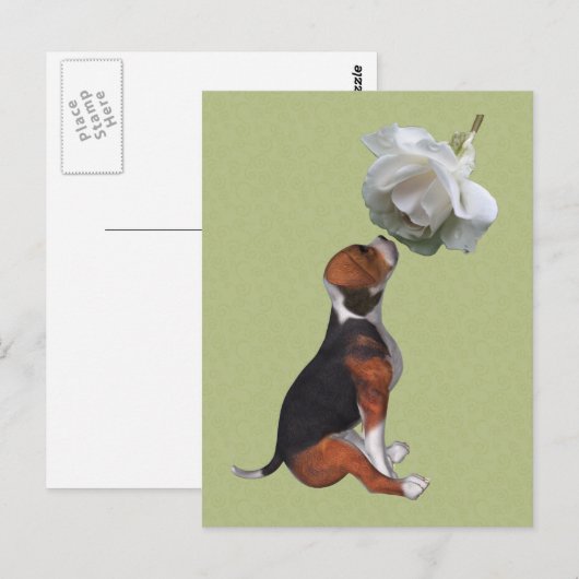 Beagle Puppy White Rose Cute Dog Briefkaart (Voorkant / Achterkant)