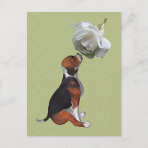 Beagle Puppy White Rose Cute Dog Briefkaart