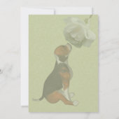 Beagle Puppy White Rose Leuke Dierenfeest Kaart (Achterkant)