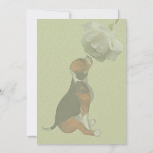 Beagle Puppy White Rose Leuke Dierenfeest Kaart (Achterkant)