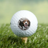 Beagle_puppy zittende golfballen (Insitu Shirt)
