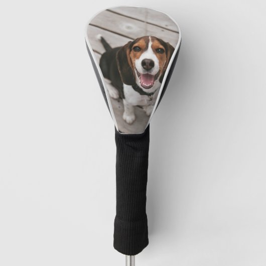 Beagle_puppy zittende golfheadcover (Voorkant)