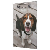Beagle_puppy zittende klembord (Links)
