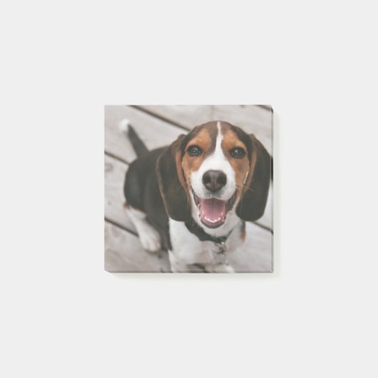Beagle_puppy zittende post-it® notes (Voorkant)