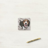 Beagle_puppy zittende post-it® notes (Op bureau)