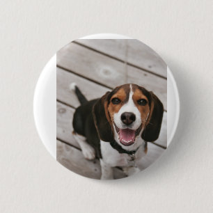 Beagle_puppy zittende ronde button 5,7 cm