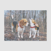 Beagle Pups in het Bos-weefselpapier Tissuepapier (Voorkant)