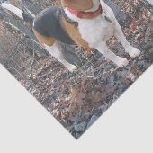 Beagle Pups in het Bos-weefselpapier Tissuepapier (Detail)