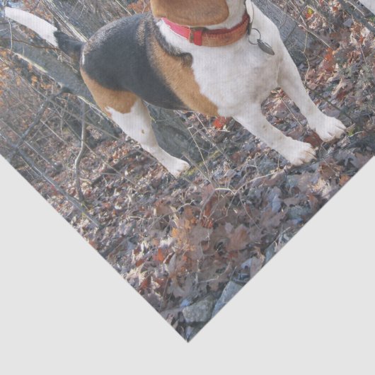 Beagle Pups in het Bos-weefselpapier Tissuepapier (Detail)