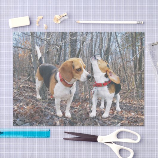 Beagle Pups in het Bos-weefselpapier Tissuepapier (Craft)
