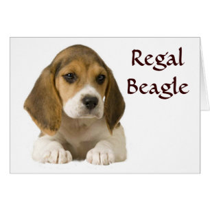 Beagle Regal Card