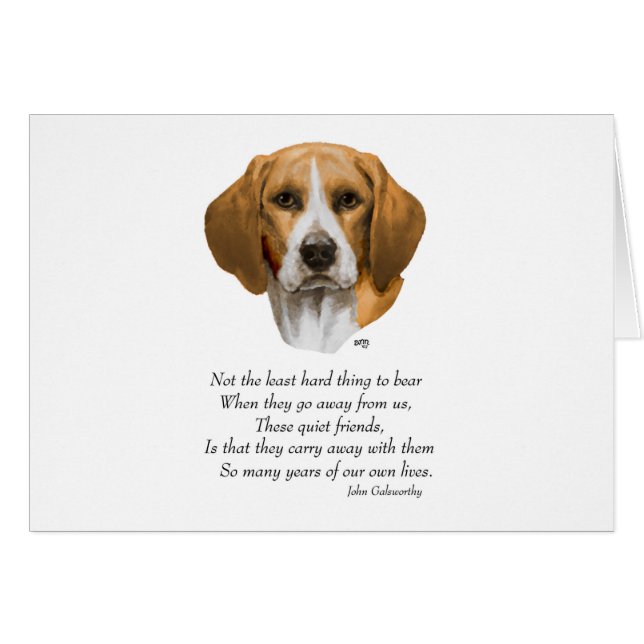 Beagle Regenboogbrug (Voorkant Horizontaal)