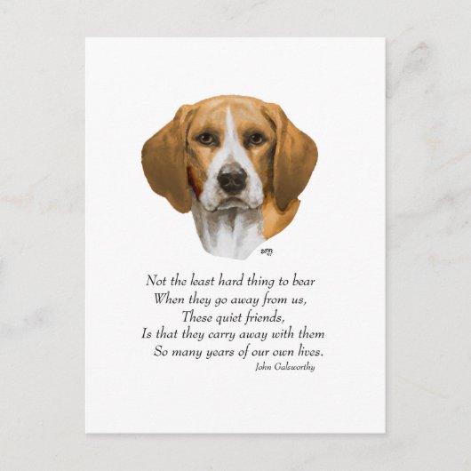 Beagle Regenboogbrug Briefkaart (Voorkant)