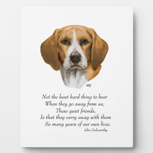 Beagle Regenboogbrug Fotoplaat (Voorkant)