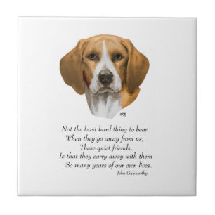 Beagle Regenboogbrug Tegeltje